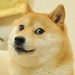 Profile image for pagko_l