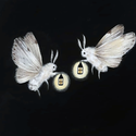 Profile image for alliwuu
