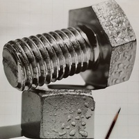 Profile image for helio_t.suzuki