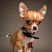 Profile image for jacobo