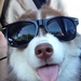 Profile image for david