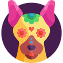 Profile image for tmart