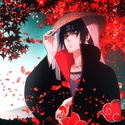 Profile image for LunaPinto