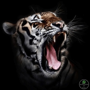 Profile image for Ec sem 2