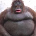 Profile image for giusyferreri97