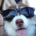 Profile image for david