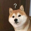 Profile image for kandy_not_keo