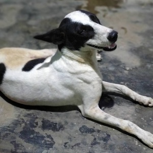 Profile image for Rit.. Ece boys