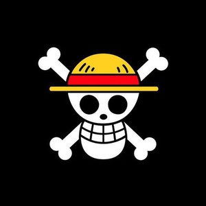 Profile image for Straw Hat Fleet