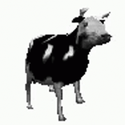 Profile image for ViktorBokor