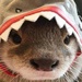 Profile image for kyleleighton