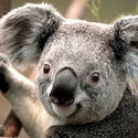 Profile image for Packie123