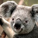 Profile image for packie123
