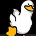 Profile image for lucaspeixoto332