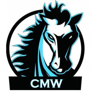 Profile image for CMW PLTW DE A1