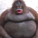 Profile image for GiusyFerreri97
