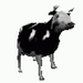 Profile image for viktorbokor