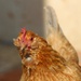 Profile image for Dave_69