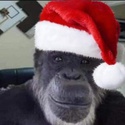Profile image for Ben.f