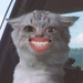 Profile image for ndanae111100