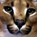 Profile image for endikukli