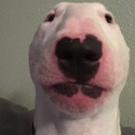 Profile image for Dávid1A