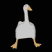 Profile image for yadard