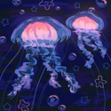 Profile image for R8d