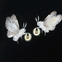 Profile image for alliwuu