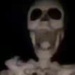 Profile image for di_cugno