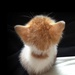 Profile image for rm7