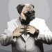 Profile image for masterpug