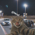Profile image for lwrxl