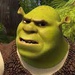 Profile image for danibarros