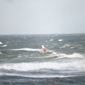 Profile image for FGE8