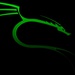 Profile image for phantom_falcon