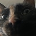 Profile image for user-144796