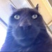 Profile image for fajr