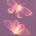Profile image for aryamalaotibi