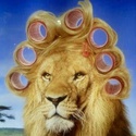 Profile image for user-1192252