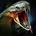 Profile image for endurobike20040