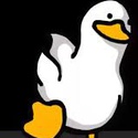 Profile image for lucaspeixoto332