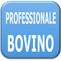 Profile image for 5 C - Bovino - Prof Cappetta/Mastrodonato