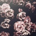 Profile image for user-80644