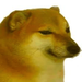 Profile image for zaidmtq2122