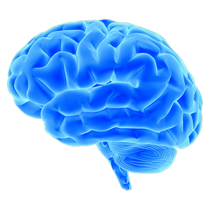 Profile image for EEPC 210 Elec Circuits 1
