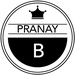 Profile image for pranay11