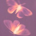 Profile image for aryamalaotibi